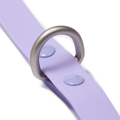 Correa Waterproof Purple - Tymon suricate brand