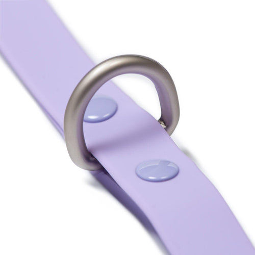 Correa Waterproof Purple - Tymon suricate brand