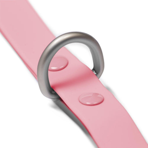 Correa Waterproof Pink - Tymon suricate brand