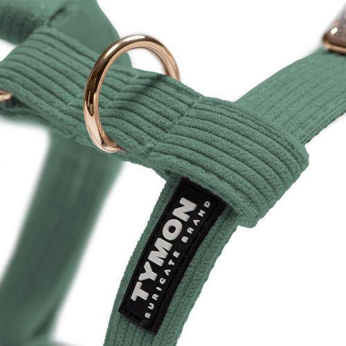 Arnés Classic Forest Corduroy - Tymon suricate brand