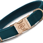 Collar Classic Teal Velvet - Tymon suricate brand
