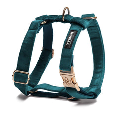Arnés Classic Teal Velvet - Tymon suricate brand