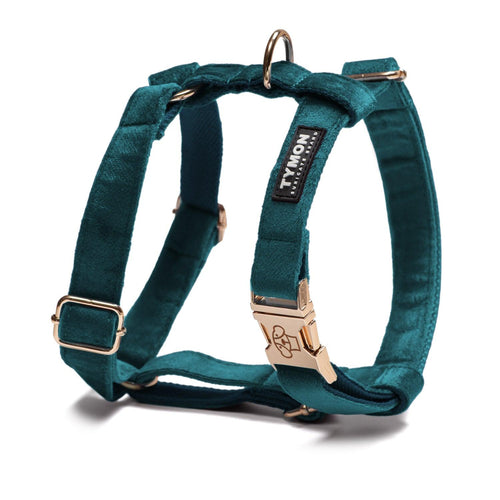 Arnés Classic Teal Velvet - Tymon suricate brand