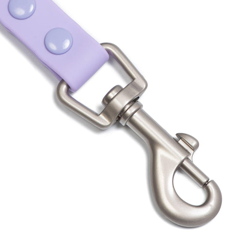 Correa Waterproof Purple - Tymon suricate brand