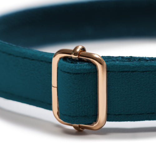 Collar Classic Teal Velvet - Tymon suricate brand
