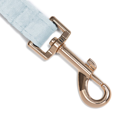 Correa Classic Blue Two - Tymon suricate brand