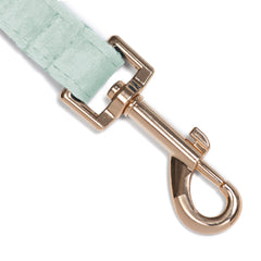 Correa Classic Blue Three - Tymon suricate brand