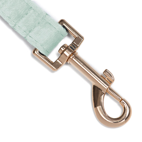 Correa Classic Blue Three - Tymon suricate brand