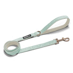 Correa Classic Blue Three - Tymon suricate brand