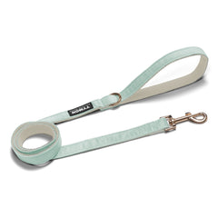 Correa Classic Blue Three - Tymon suricate brand