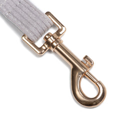 Correa Classic Grey - Tymon suricate brand