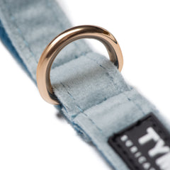 Correa Classic Blue One - Tymon suricate brand