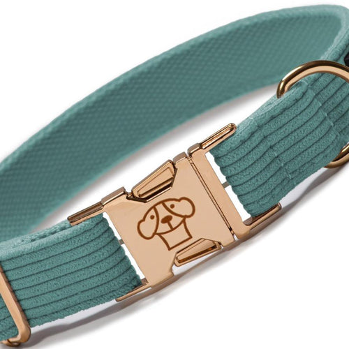 Collar Classic Green - Tymon suricate brand