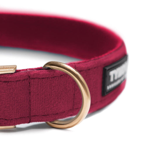Collar Classic Red - Tymon suricate brand