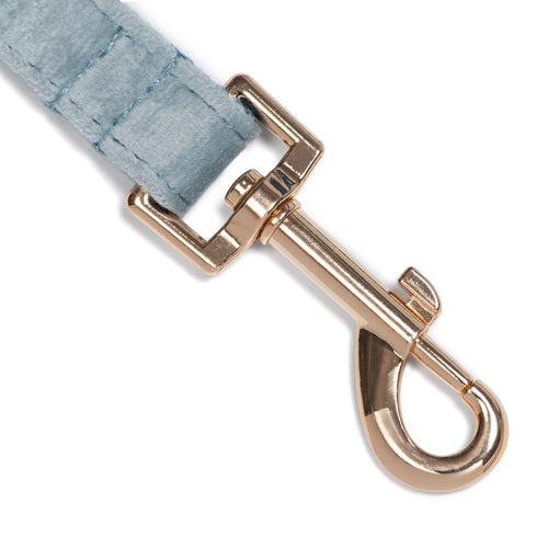 Correa Classic Blue One - Tymon suricate brand