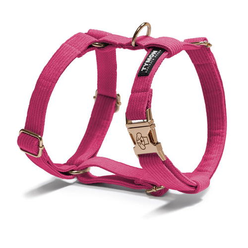Arnés Classic Pink Dark - Tymon suricate brand