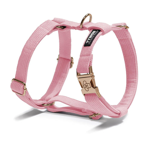 Arnés Classic Pink - Tymon suricate brand