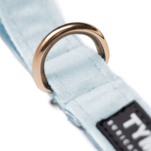 Correa Classic Blue Two - Tymon suricate brand