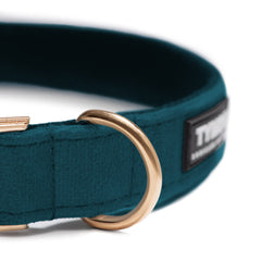 Collar Classic Teal Velvet - Tymon suricate brand