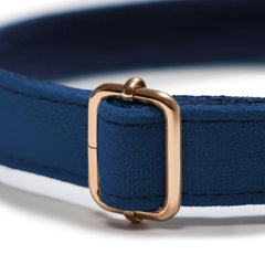 Collar Classic Blue - Tymon suricate brand