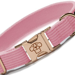 Collar Classic Pink - Tymon suricate brand