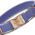 Collar Classic Purple - Tymon suricate brand