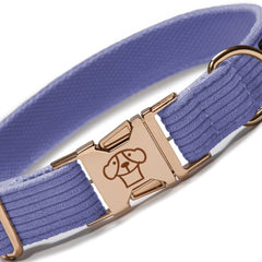 Collar Classic Purple - Tymon suricate brand