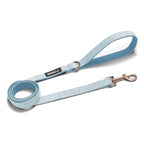 Correa Classic Blue Two - Tymon suricate brand