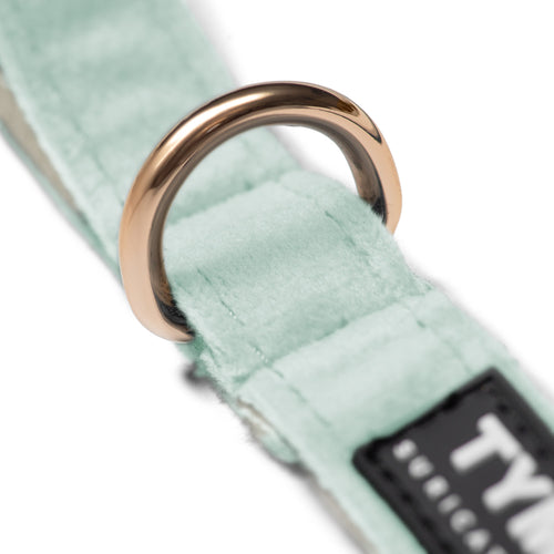 Correa Classic Blue Three - Tymon suricate brand