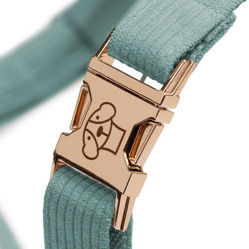 Arnés Classic Green - Tymon suricate brand