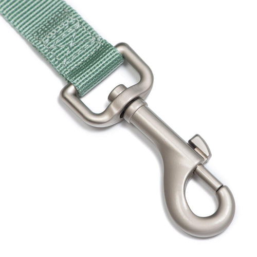 Correa Resistence Green - Tymon suricate brand