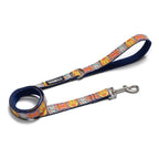 Correa Bohemian Colombia - Tymon suricate brand