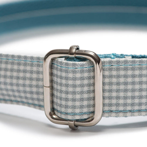 Collar Elegance Blue Clear - Tymon suricate brand