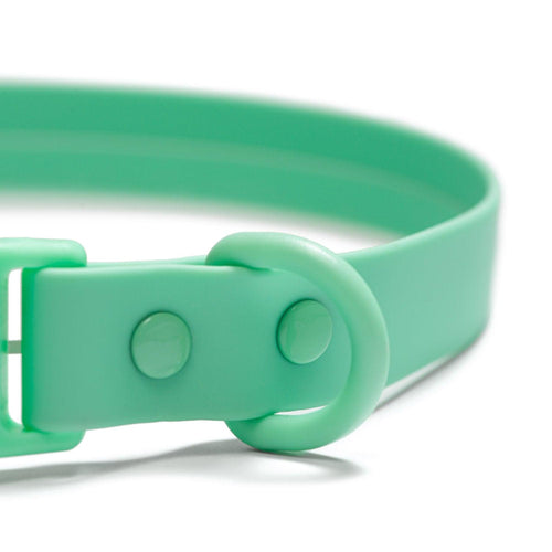Collar Waterproof Green - Tymon suricate brand