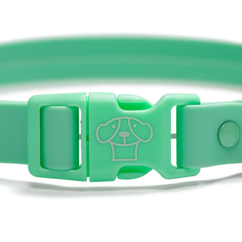 Collar Waterproof Green - Tymon suricate brand