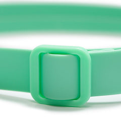 Collar Waterproof Green - Tymon suricate brand