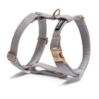 Arnés Classic Grey - Tymon suricate brand