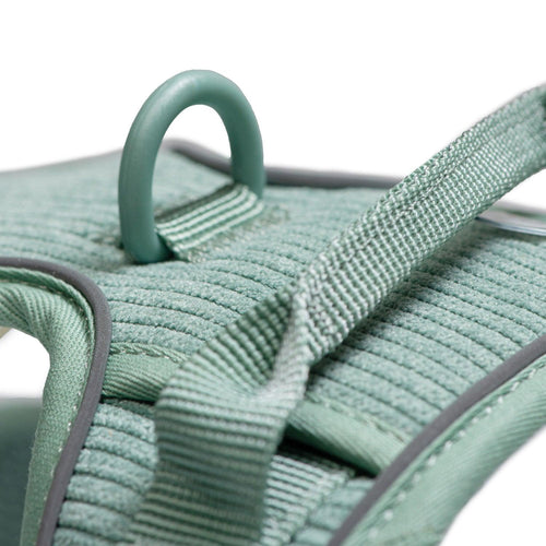 Arnés Resistence Green - Tymon suricate brand