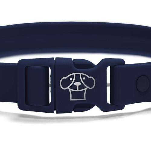 Collar Waterproof Blue - Tymon suricate brand