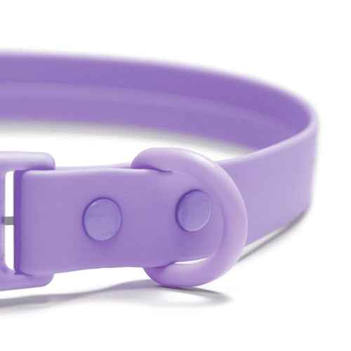 Collar Waterproof Purple - Tymon suricate brand