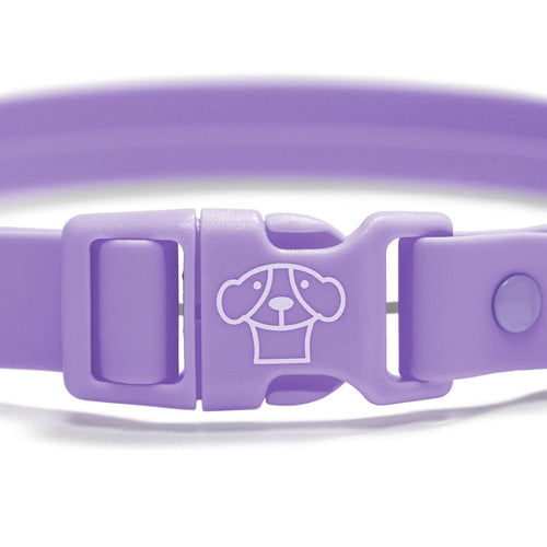 Collar Waterproof Purple - Tymon suricate brand