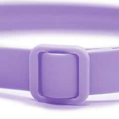 Collar Waterproof Purple - Tymon suricate brand