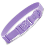 Collar Waterproof Purple - Tymon suricate brand