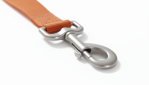 Correa Resistence Orange