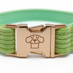 Collar Classic Lima Clear