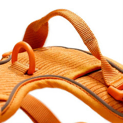 Arnés Resistence Orange