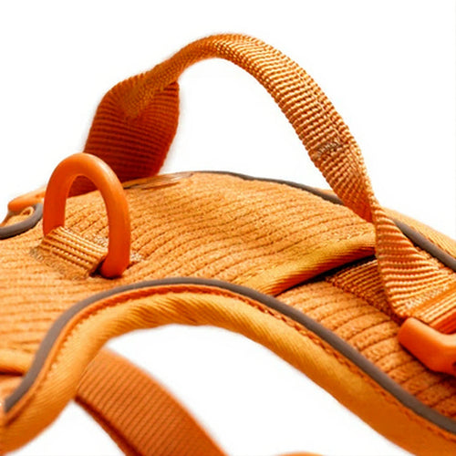 Arnés Resistence Orange