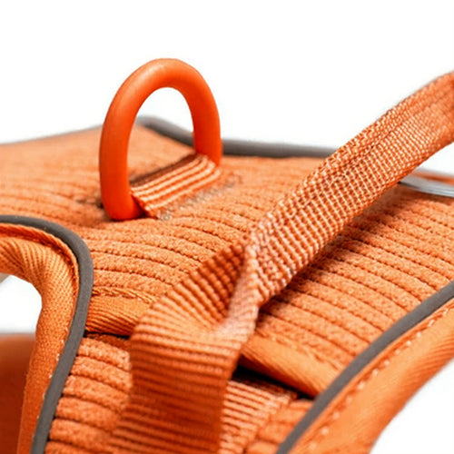 Arnés Resistence Orange