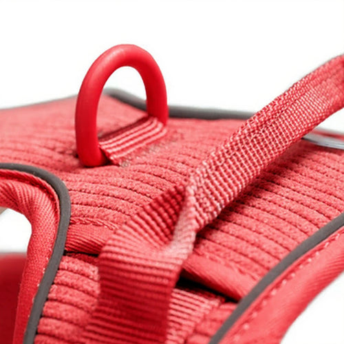 Arnés Resistence Red