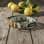 Collar Capri Lemon